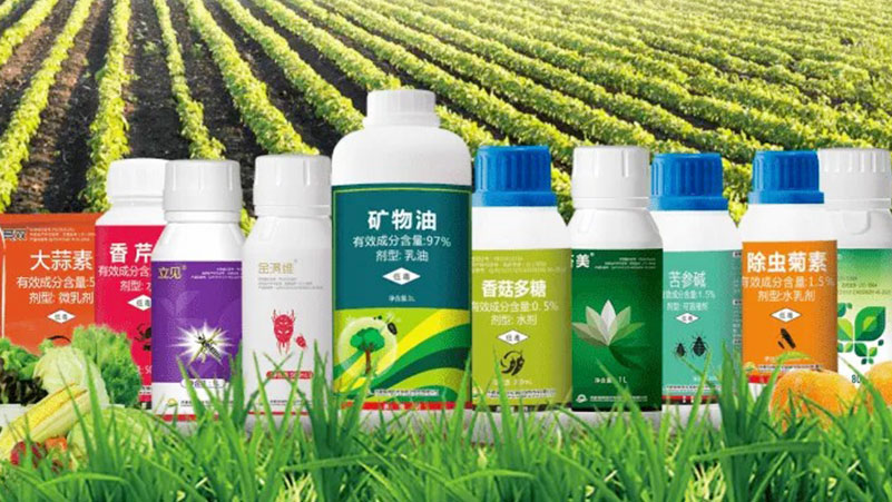 香港正版全年资料大全