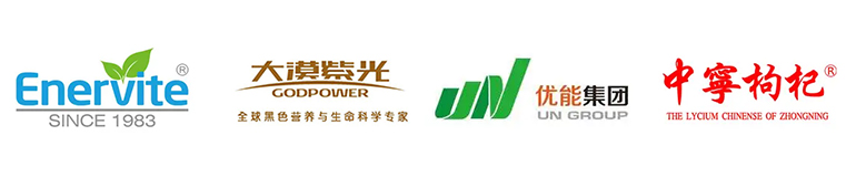 香港正版全年资料大全